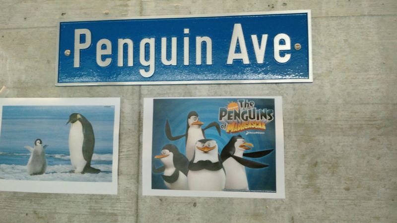 google-penguin-posters