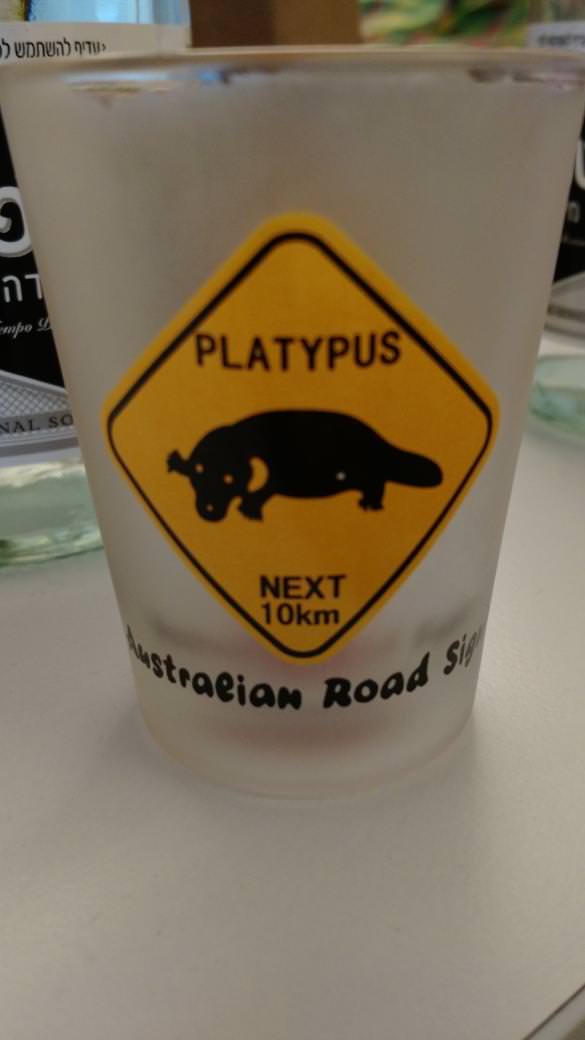 Google Platypus Cup