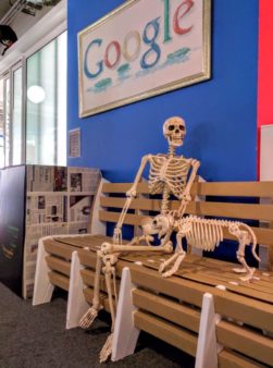 Human-Dog-Skeletons-At-Google