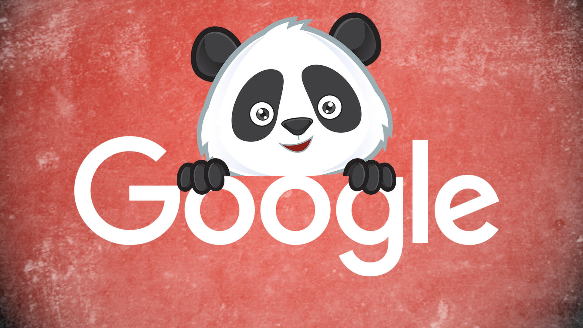Google Panda Name2 Ss 1920