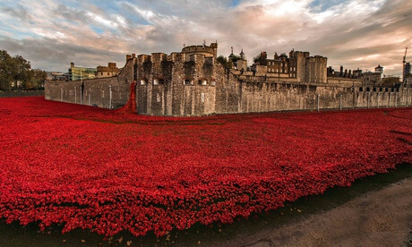 poppies-london-witness