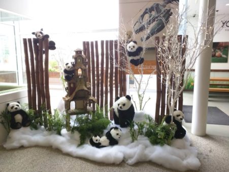 Google-Panda-Nativity-Scene
