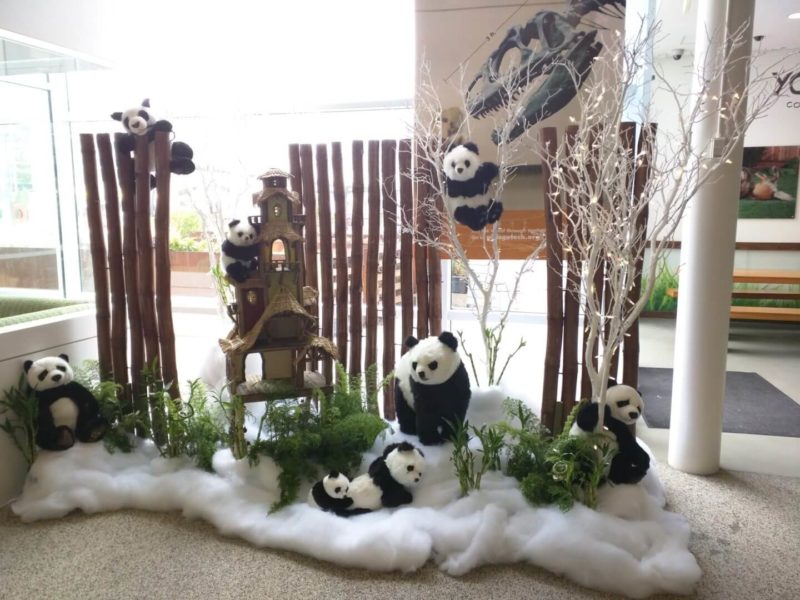 Google Panda Nativity Scene