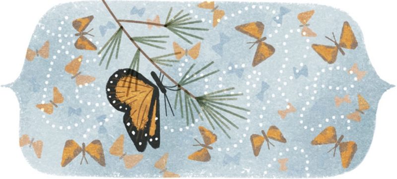 Google doodle 41st anniversary of the mountain of butterflies