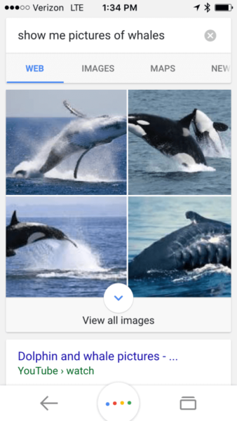 Requested Pictures of Whales