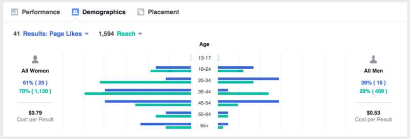 Facebook-demographic-report