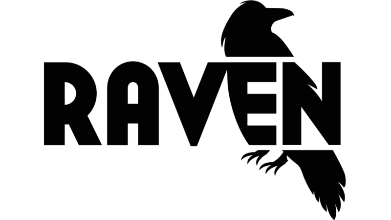 Raven Site Auditor