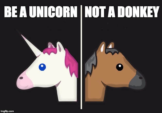 be a unicorn not a donkey