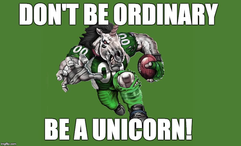 Unicorn Football