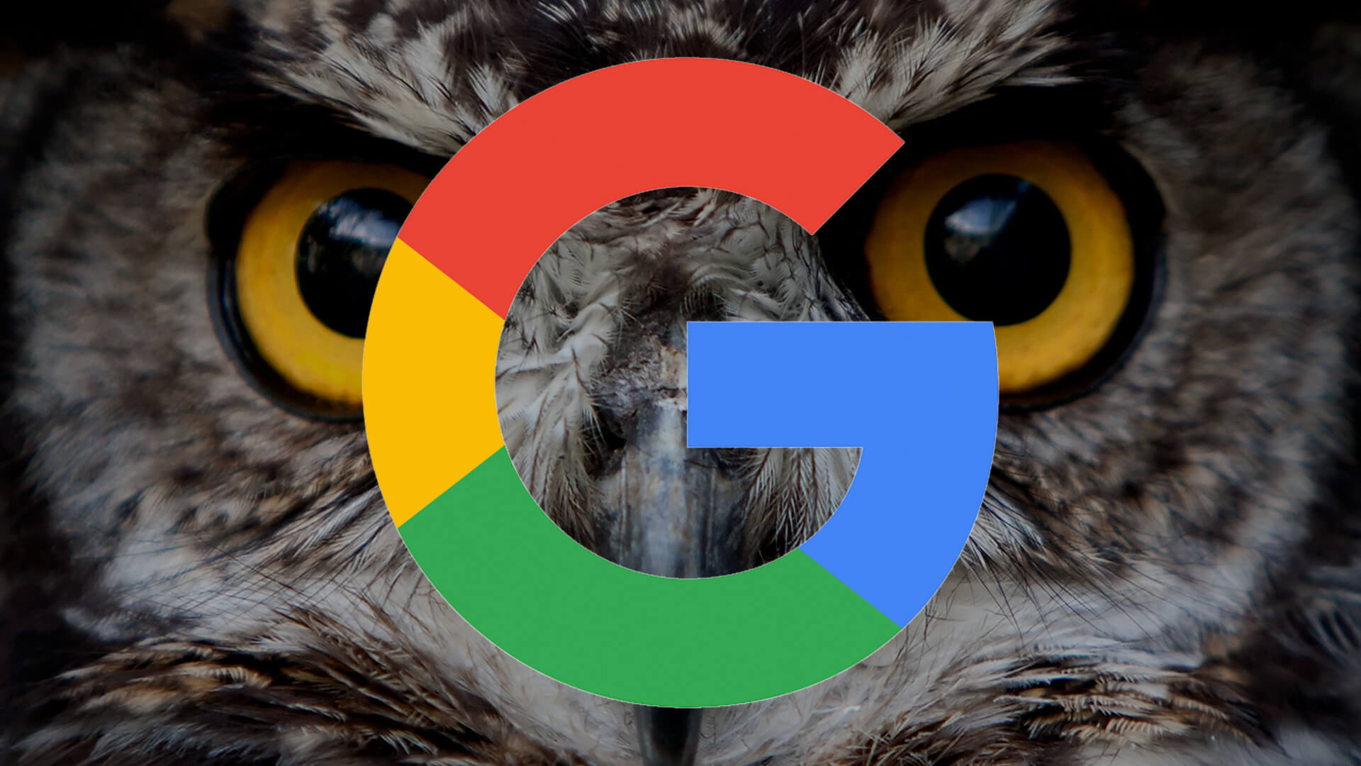 Google Owl1 Ss 1920