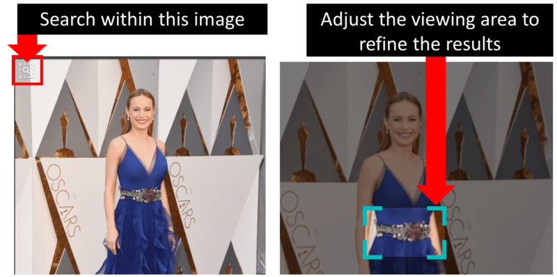 Visual Search SearchWithin BrieLarson Belt