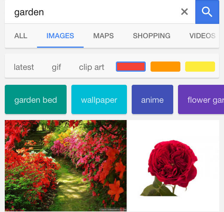 Google Image Search Mobile New Filters