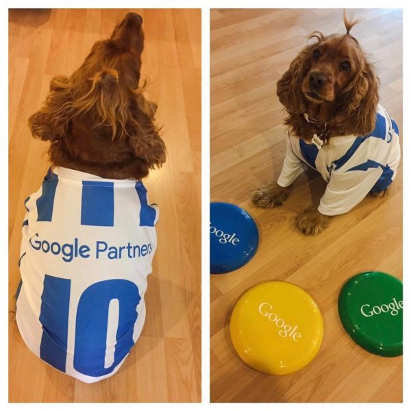 Google Partners Dog Jersey