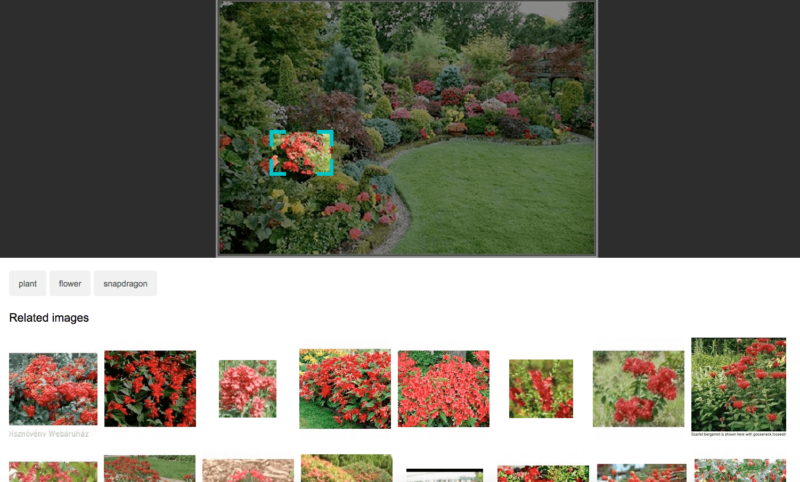 Bing Visual Search