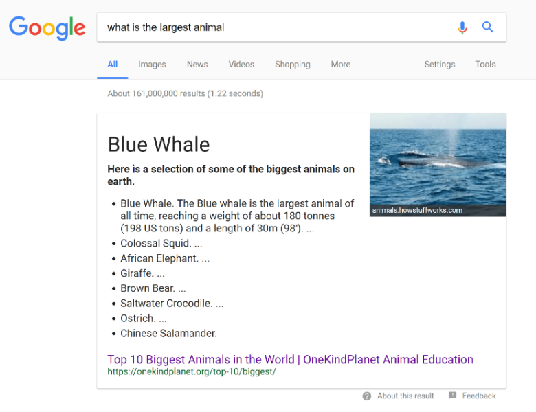 Blue Whale Snippet With Title 780x600