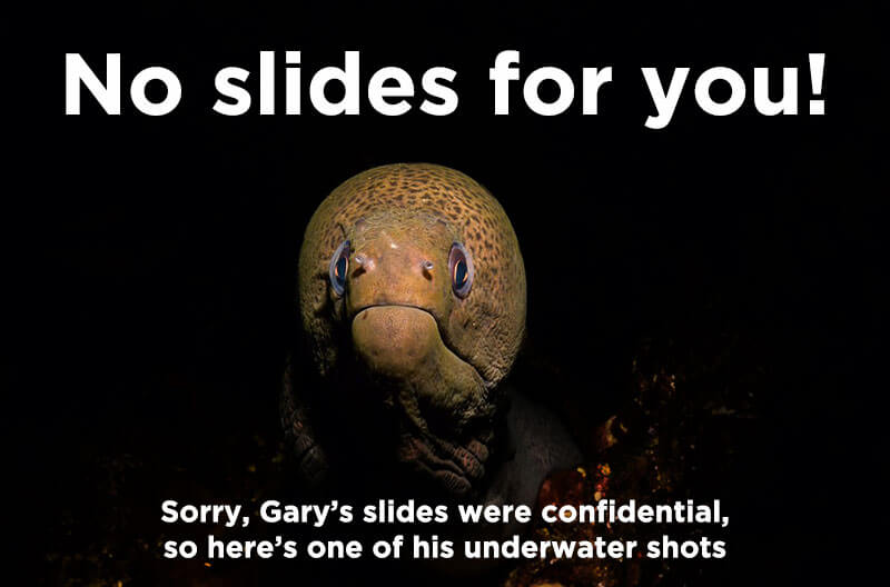 Gary's underwater eel shot (since he can't share his slides)