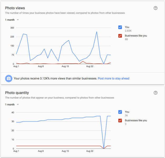 Google My Business Photo Insights