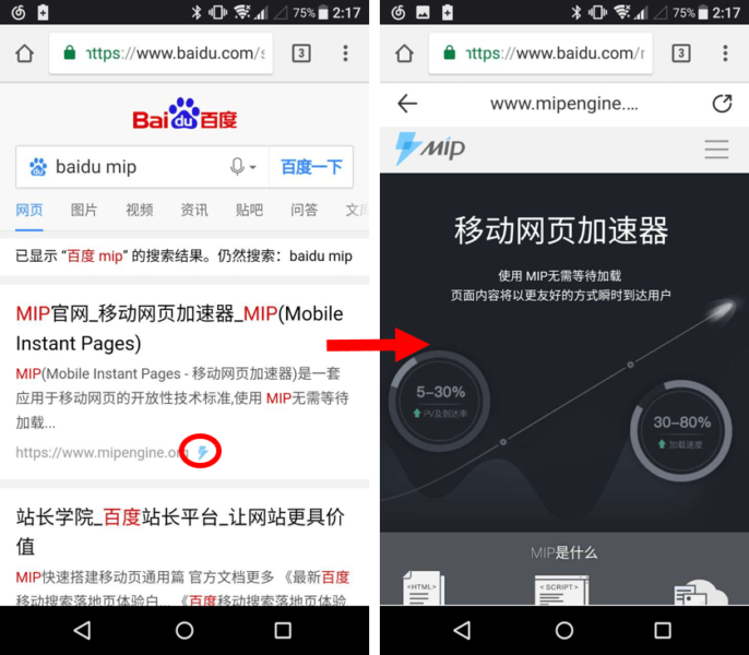 The Flash icon for MIP results on Baidu SERP