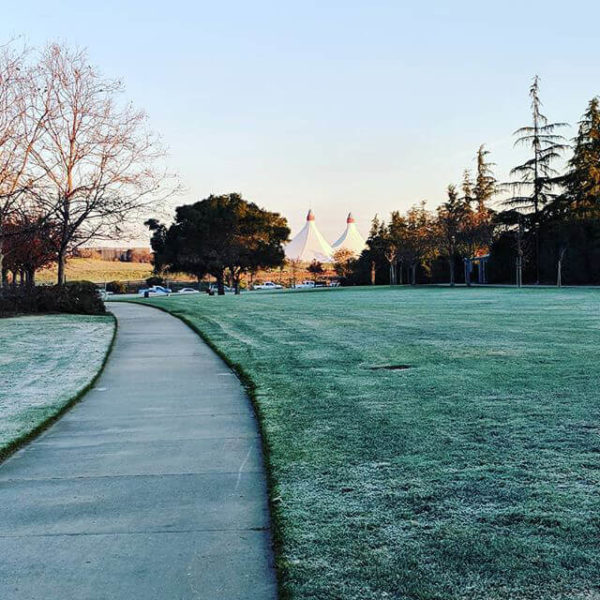 Googleplex Lawn Frost 1513599813