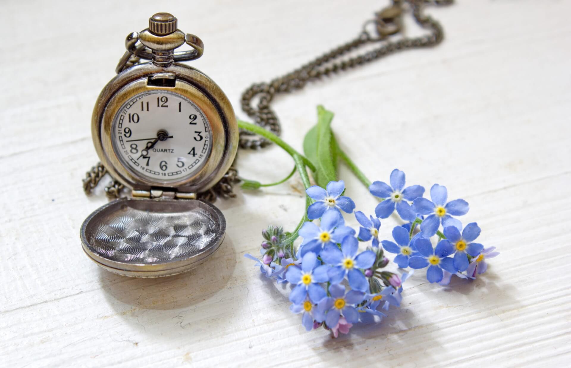 Alpine quartz sale pocket watch