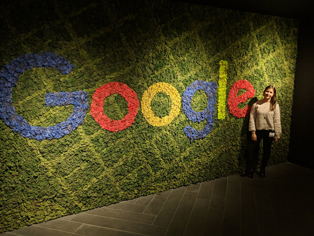 Google Carpet Grass Wall 1534935569