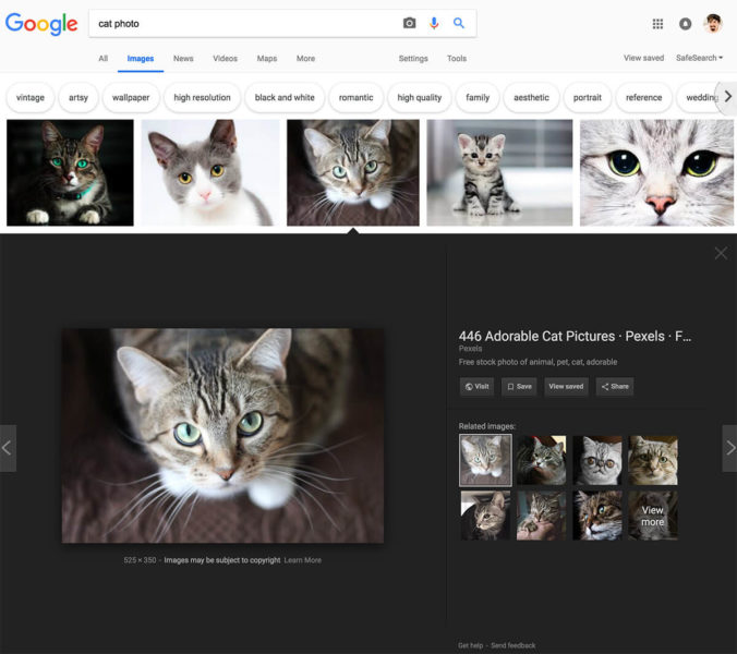 Google Images Preview Now 1534851412 676x600