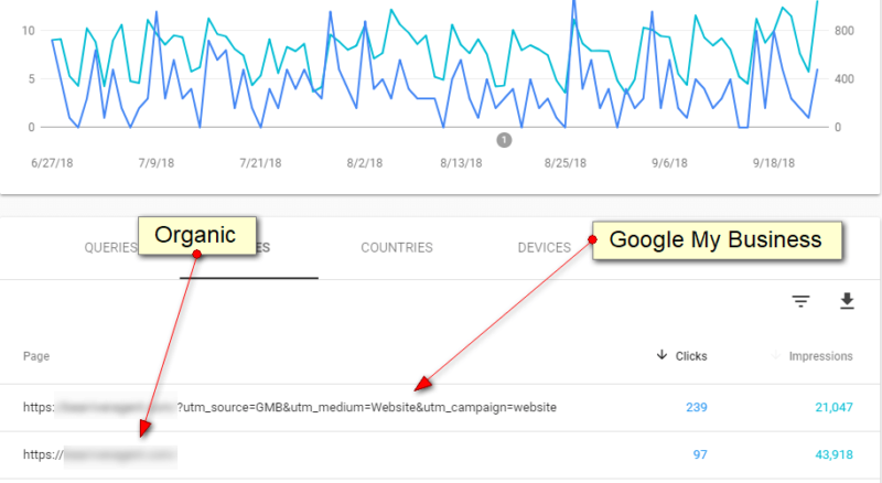 Search Queries GMB