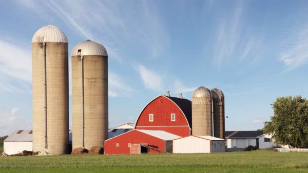 silo-madness-photo