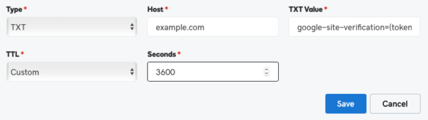 GoDaddy DNS TXT Record Form