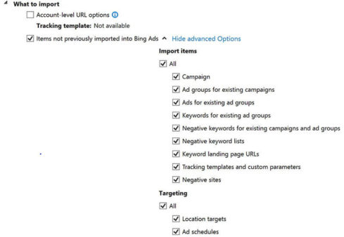 bae-google-ads-import-options