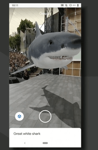 Google Io Shark