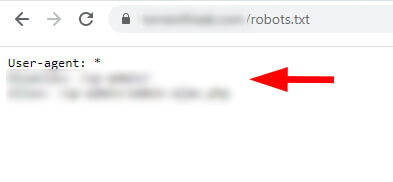 Robots Txt Non Www