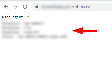 Robots Txt Www