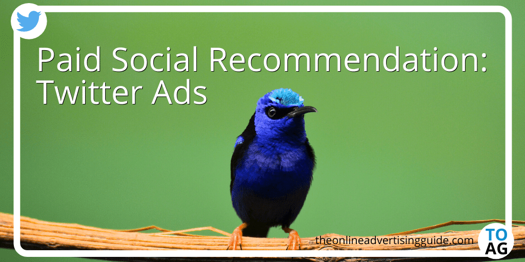 Paid-Social-Recommendation-Twitter-Ads-768x384