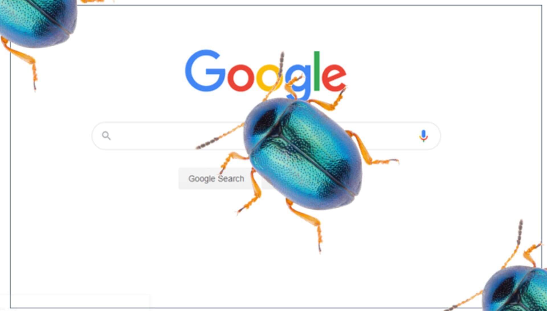 google-bug-1920.jpg