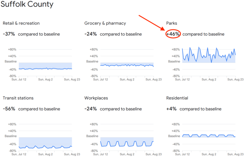 Google Covid Mobility Reports2 1