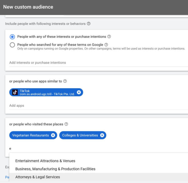 Google Ads Custom Audiences Targeting 617x600