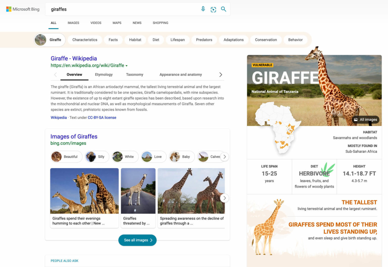 Bing Search Infographic Panels 1536x1058