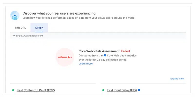 Pagespeed Insights Origin