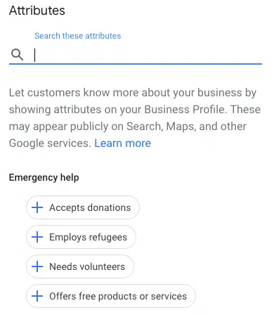 Google Emergency Help Attributes