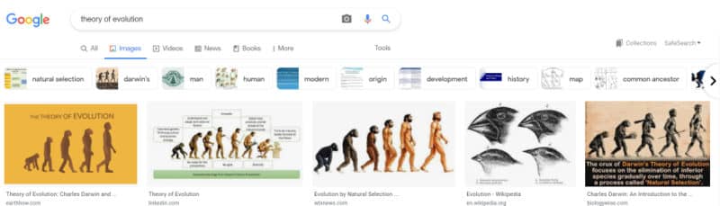 google images theory of evolution