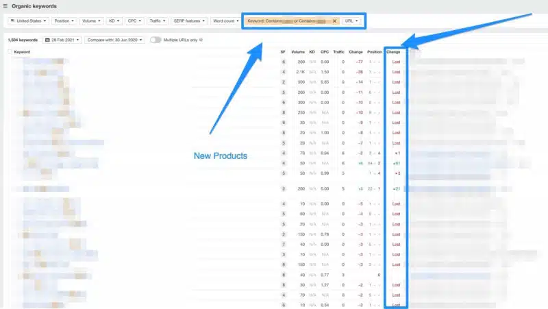 Comparison of keyword rankings for newer product lines, June 2020 to February 2021, using Ahrefs Organic Traffic report.