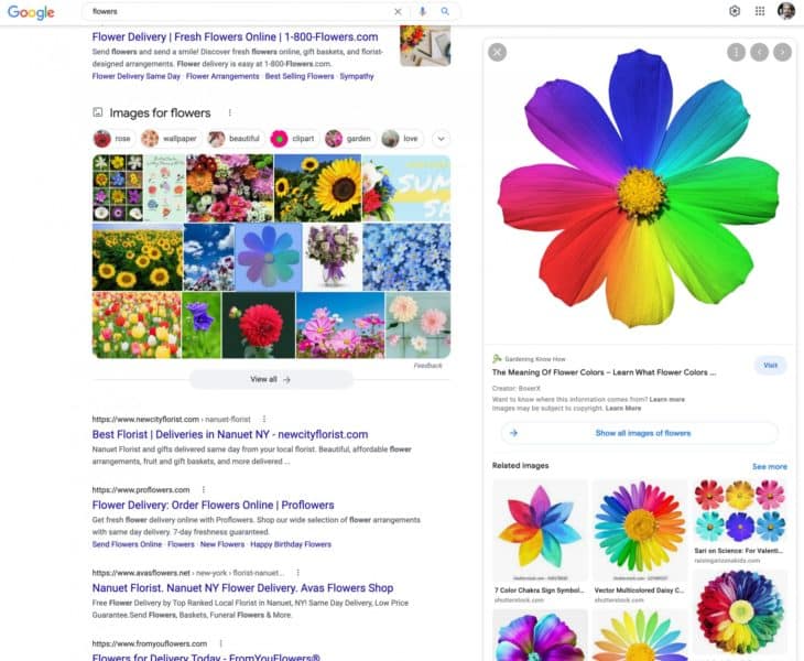 google image preview overlay web search 1659956141