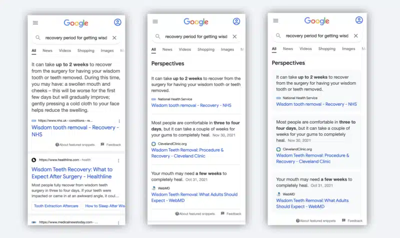 Perspectives Featured Snippets Mobile Test 800x477