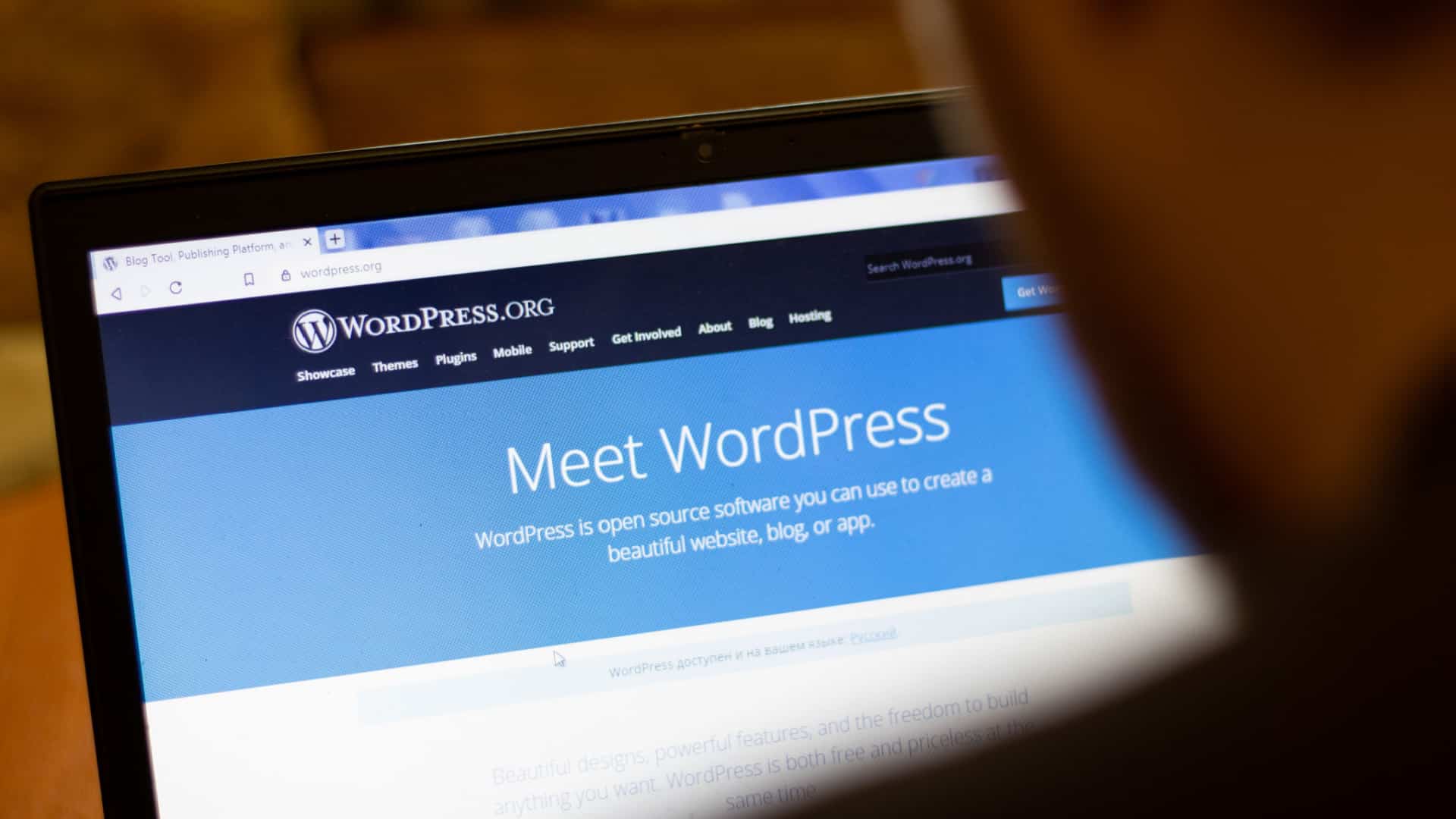 12 WordPress website settings which can be crucial to your Website