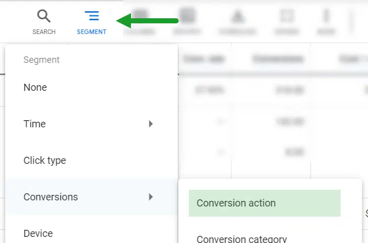 Google Ads - Segments and Conversions.