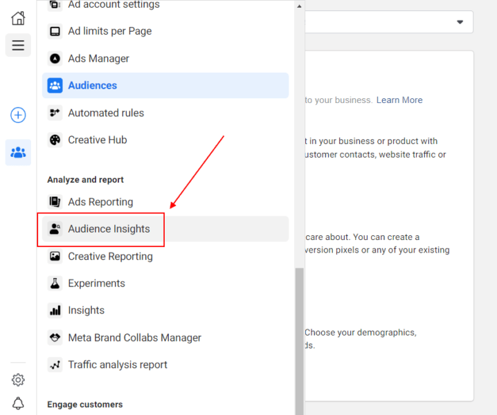 Facebook Ads manager — Audience Insights