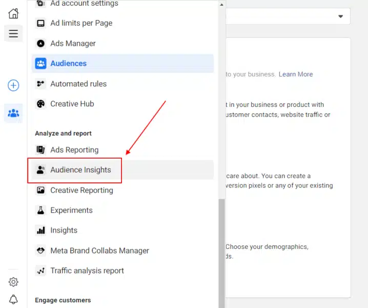 Facebook Ads manager - Audience Insights