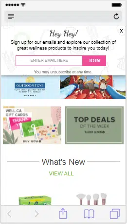 Newsletter pop-up offering valuable content about the brand's products.