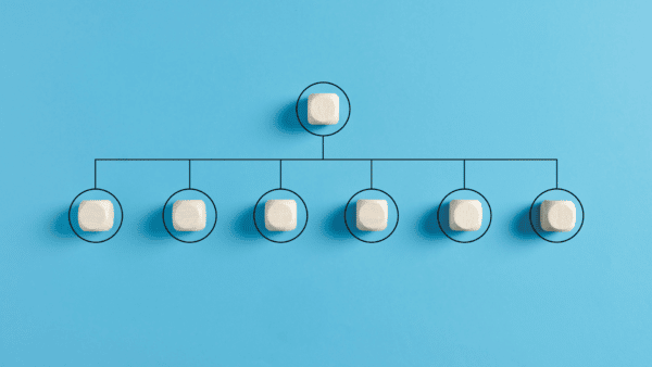 Where-is-SEO-in-the-business-hierarchy